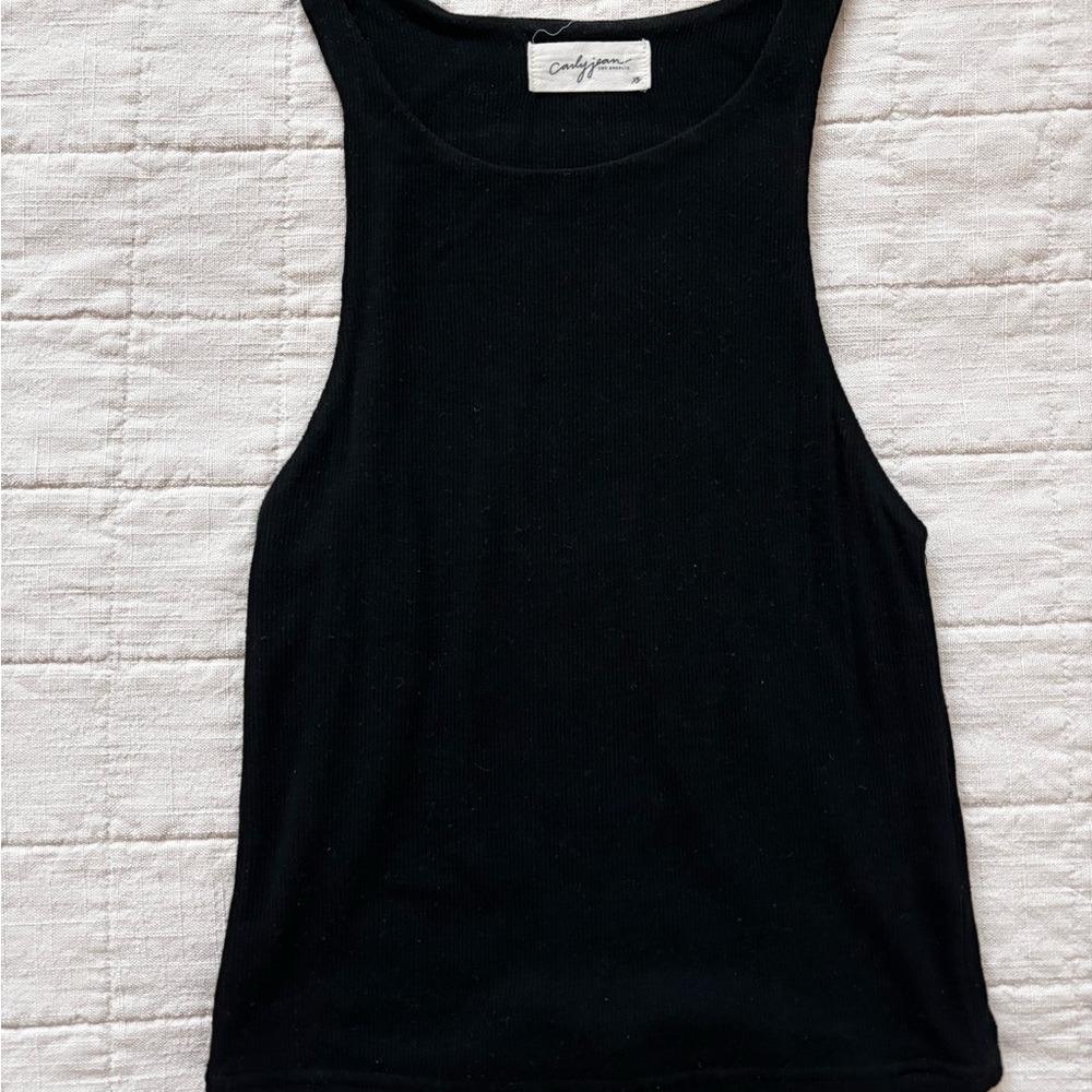 Carly Jean Los Angeles Classic Ribbed Black Crop Top